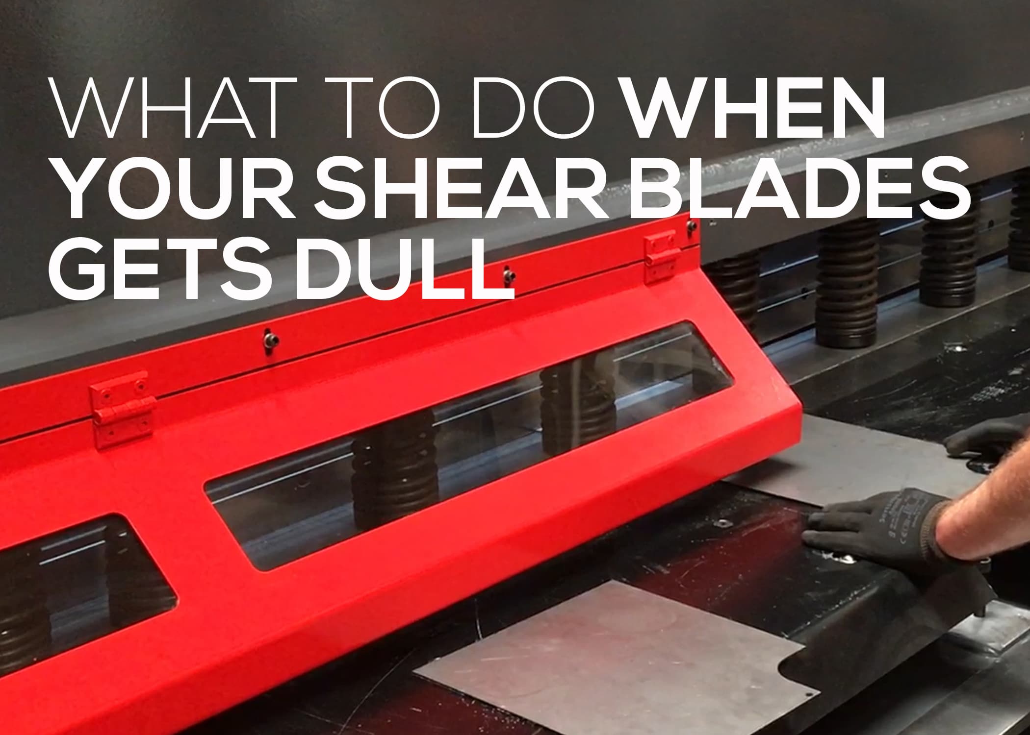 What to Do When Your Shear Blades Gets Dull